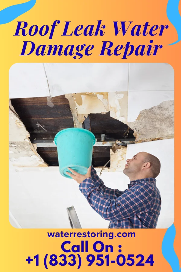 Roof Leak Water Damage Repair in Alden, KS
