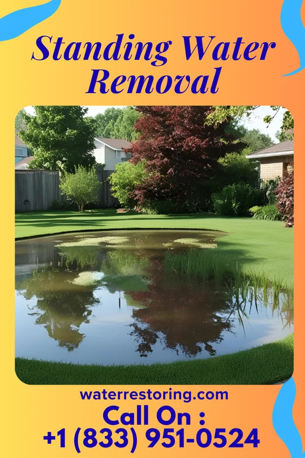 Standing Water Removal in Alden, KS